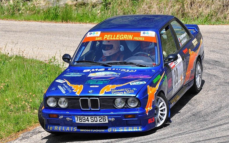 Ecureuil_2011_Damien_Pellegrin